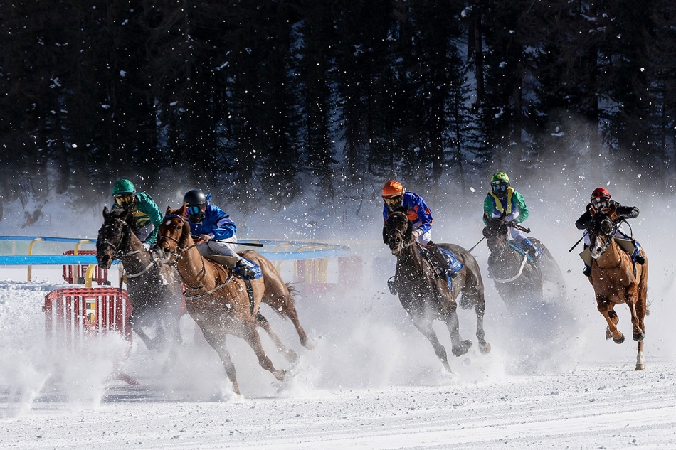 WHITE TURF ST. MORITZ